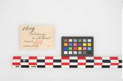 Etikett zu Bronzekugelkopfnadel (NHMW-PRAE-026119)